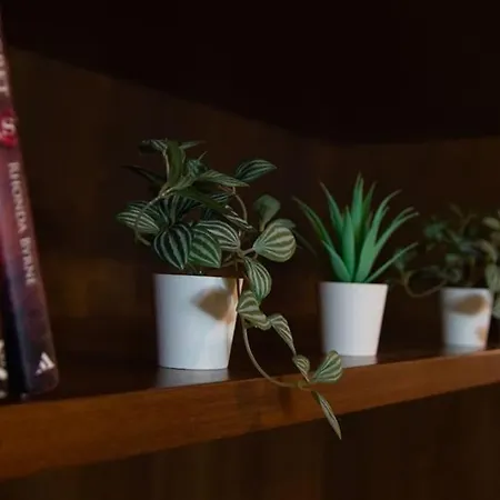 Apartment La Dolce Centro Storico