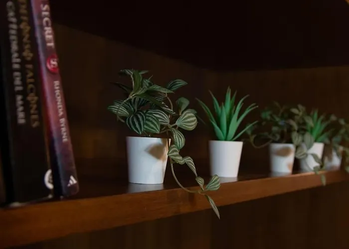 아파트 La Dolce Centro Storico